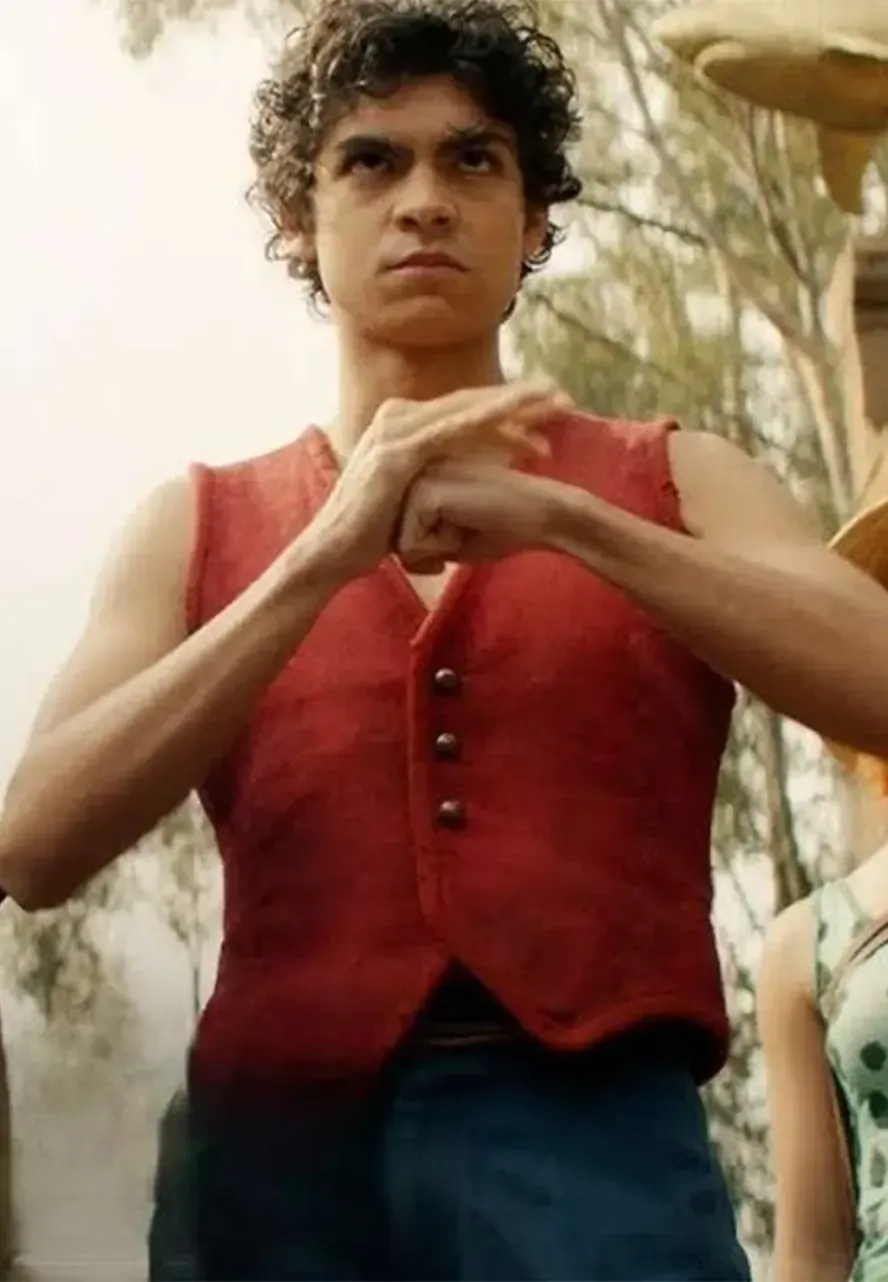 One Piece Monkey D Luffy Red Vest luffy vest