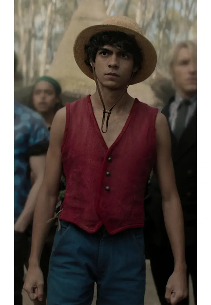 One Piece Monkey D Luffy Red Vest monkey with red vest