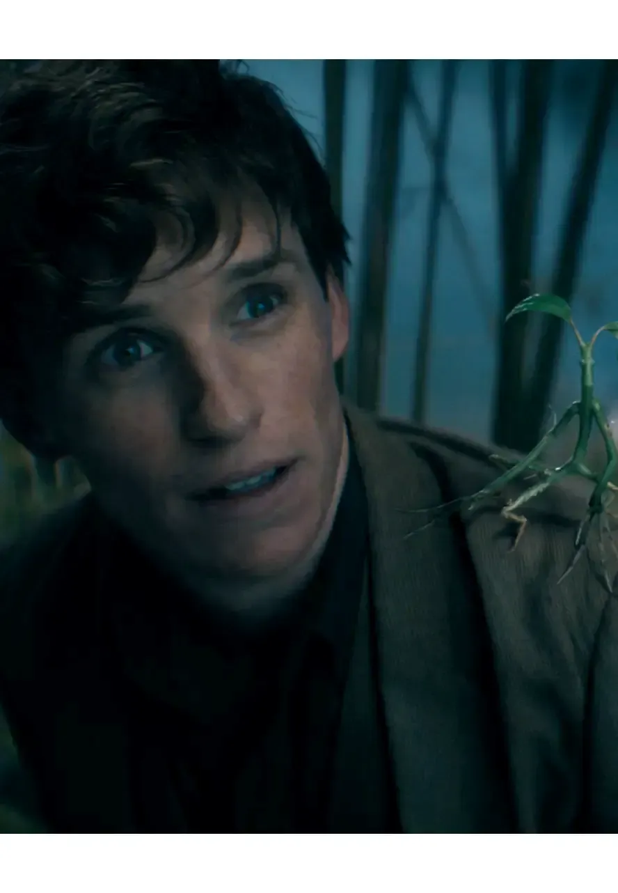 Fantastic Beasts The Secrets of Dumbledore Eddie Redmayne Blazer the secrets of dumbledore blazer