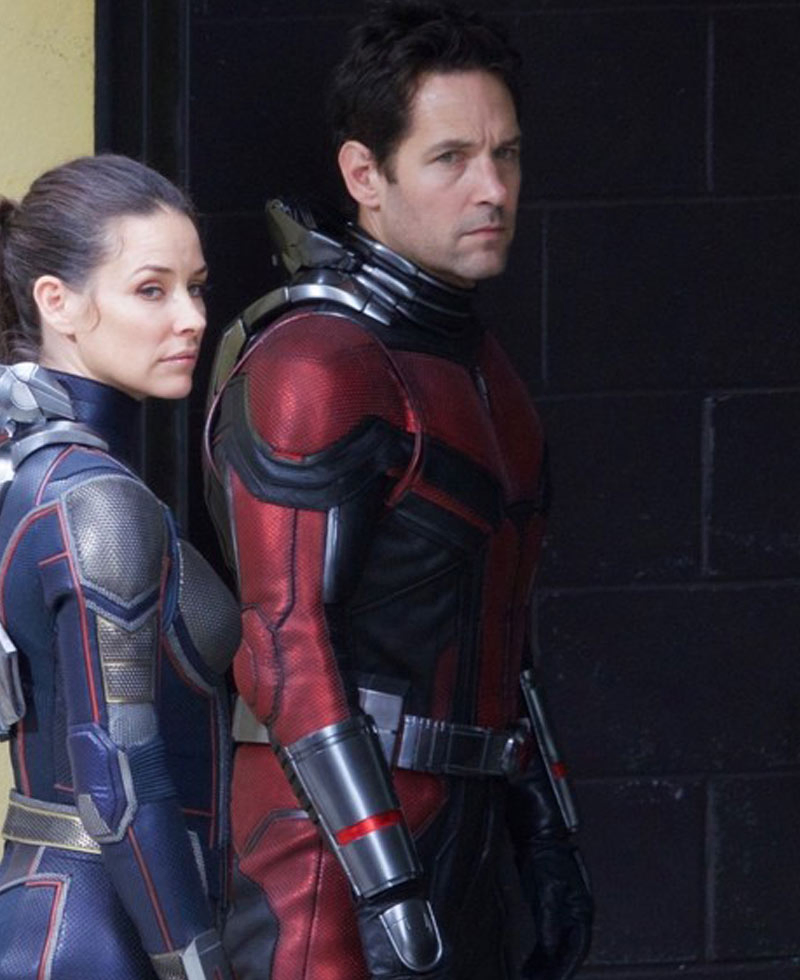 Paul Rudd Ant Man Leather Jacket Paul Rudd Ant Man Leather Jacket - Image 2