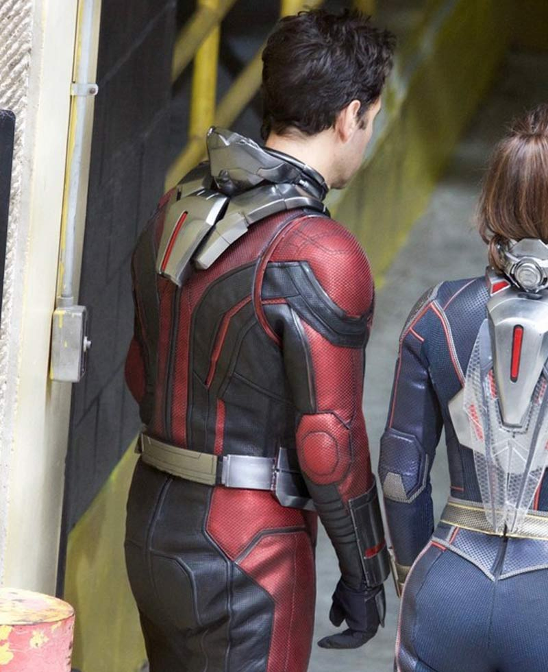 Paul Rudd Ant Man Leather Jacket Paul Rudd Ant Man Leather Jacket - Image 3