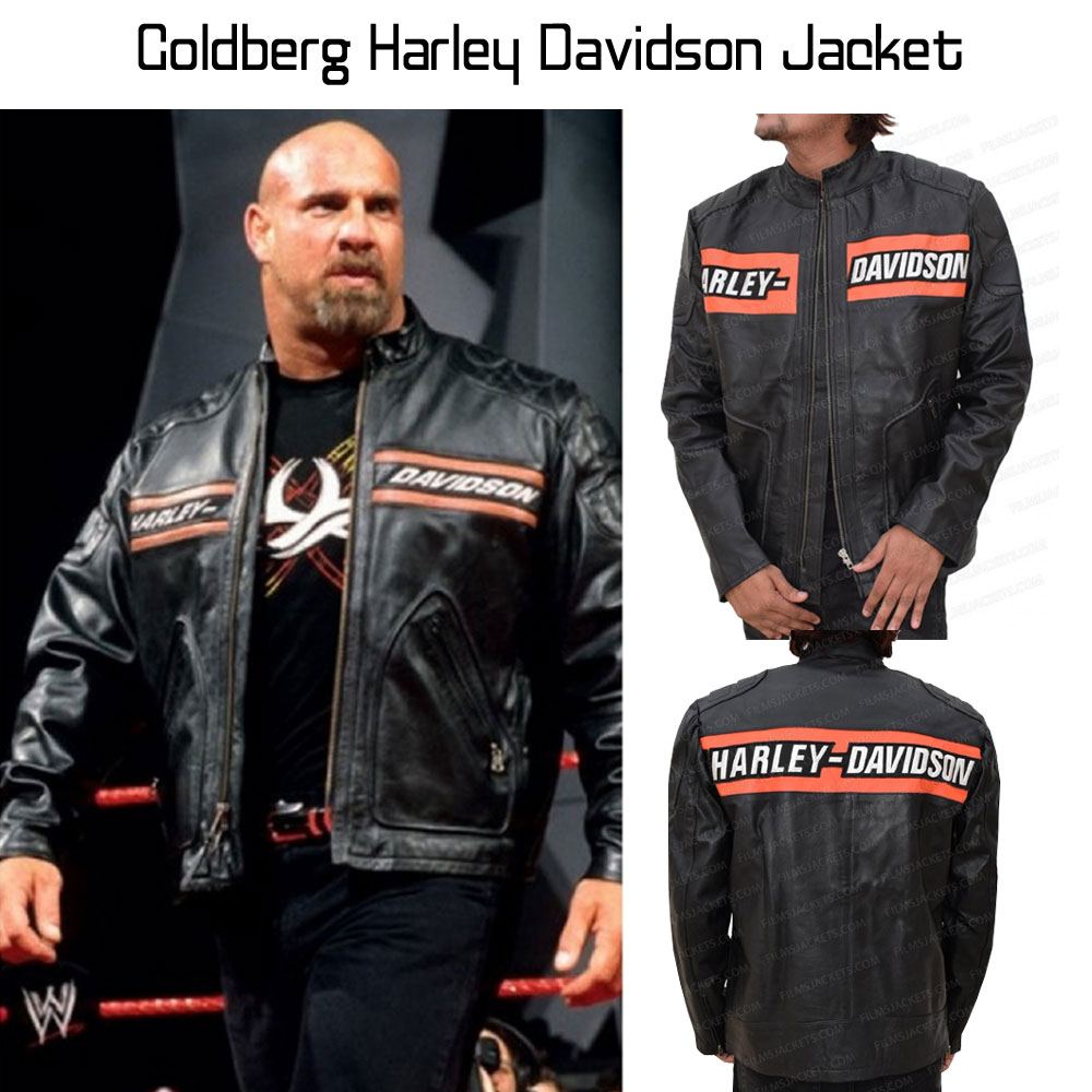 Biker Style Goldberg Harley Davidson Leather Jacket Biker Style Goldberg Harley Davidson Leather Jacket - Image 5