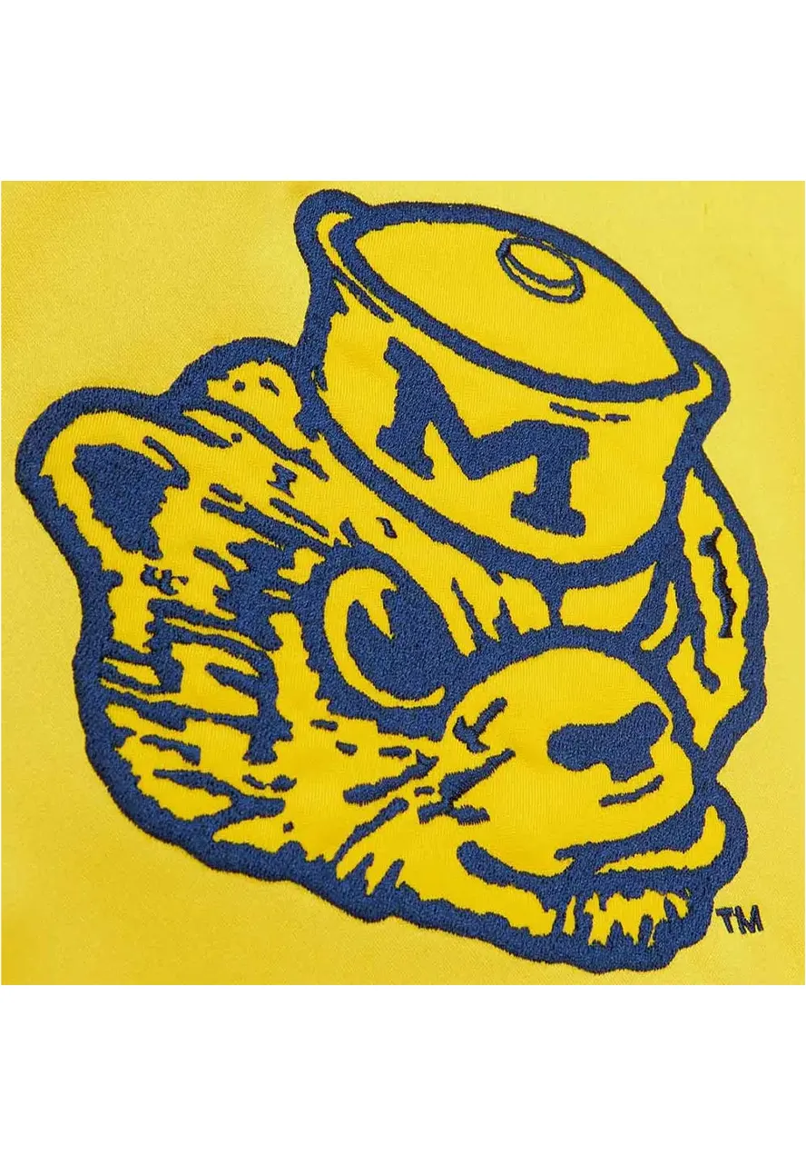 University Of Michigan Letterman Jacket University Of Michigan Letterman Jacket - Image 3
